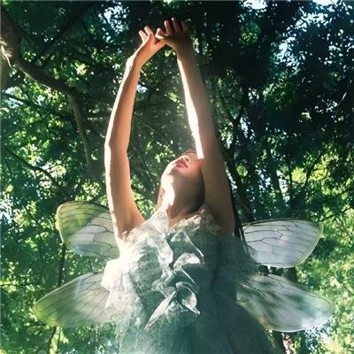 车库拍卖神秘案件2：金玉其外