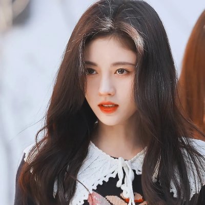 雪地灵犬2